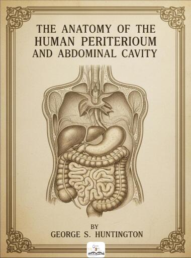 The Anatomy of the Human Peritoneum and Abdominal Cavity