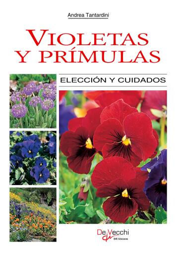 Violetas y prímulas