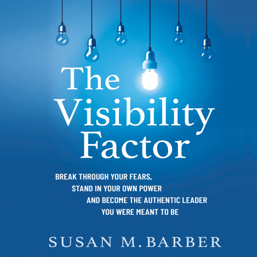 Portada del audiolibro «The Visibility Factor», de Susan M. Barber