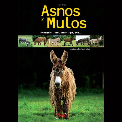 Asnos y mulos