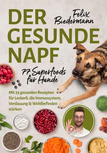 Der gesunde Napf – 77 Superfoods für Hunde