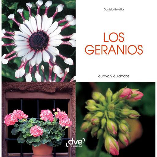 Los geranios - Cultivo y cuidados