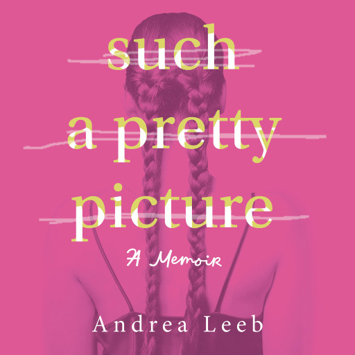 Such A Pretty Picture