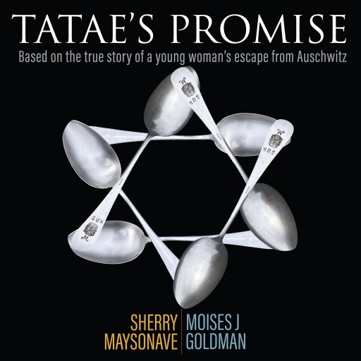 Portada del audiolibro «Tatae's Promise», de Sherry Maysonave, Moises J. Goldman