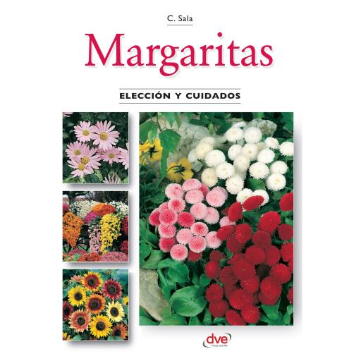 Margaritas - Elección y cuidados