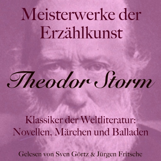 Theodor Storm: Meisterwerke der Erzählkunst
