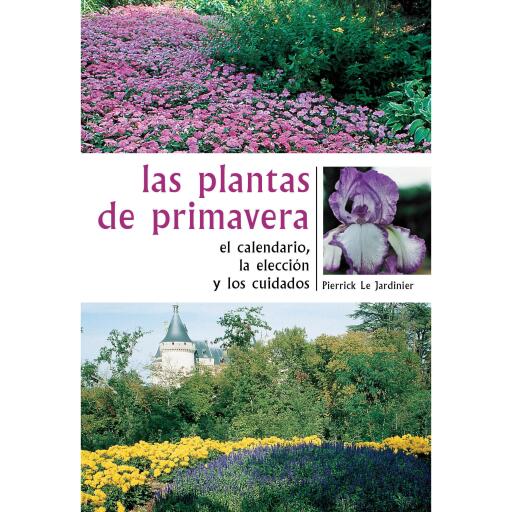 Las plantas de primavera. El calendario, la elección y los cuidados