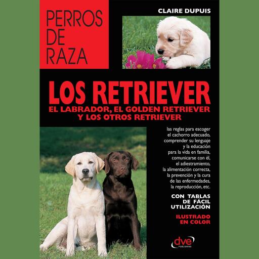 los retriever el labrador, el golden retriever y los otros retriever