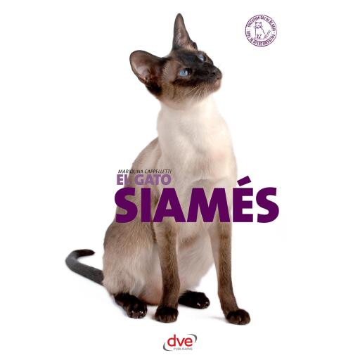 El gato siamés