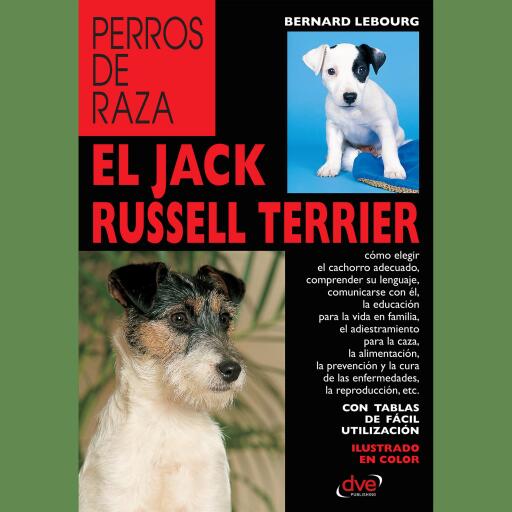 El Jack Russell terrier