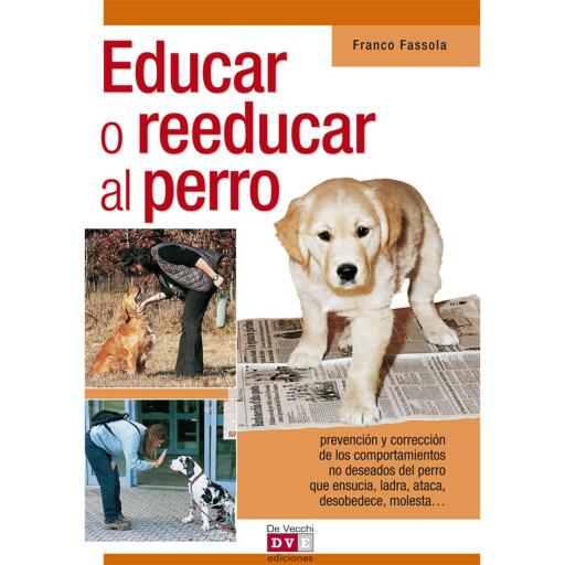 Educar o reeducar al perro