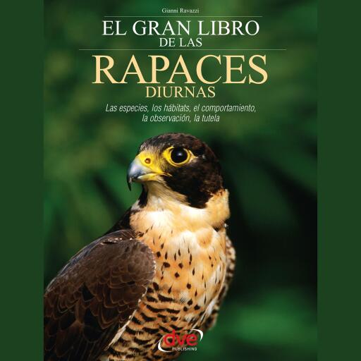 El gran libro de las rapaces diurnas