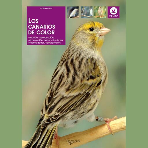 Los canarios de color