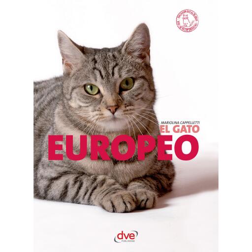 El gato Europeo