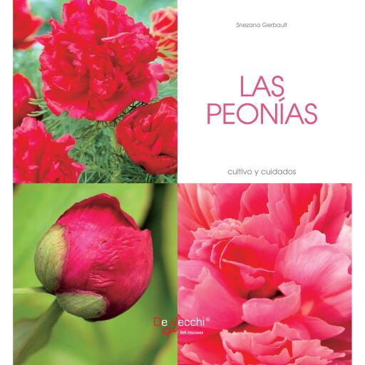 Las peonías - Cultivo y cuidados