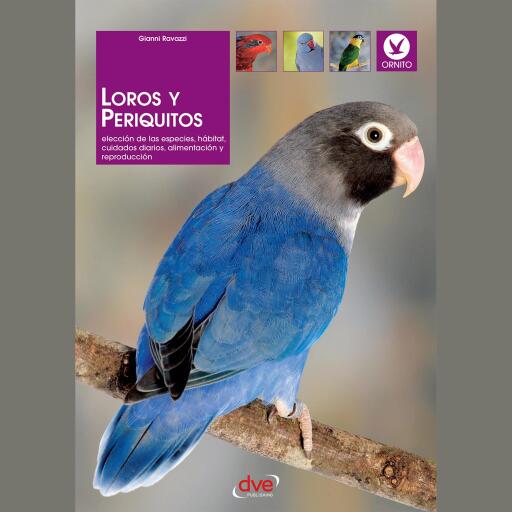 Loros y periquitos