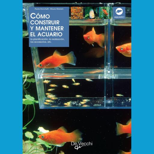 Cómo construir y mantener el acuario