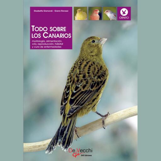 Todo sobre los Canarios. Morfología, alimentación, cría, reproducción, hábitat y cura de enfermedades