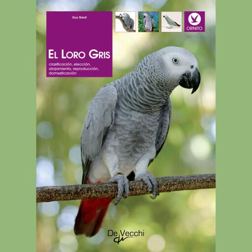 El loro gris