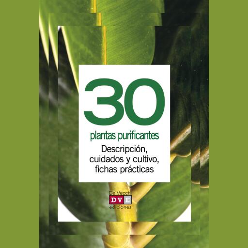 30 plantas purificantes