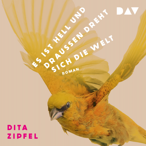 Portada del audiolibro «Es ist hell und draußen dreht sich die Welt», de Dita Zipfel