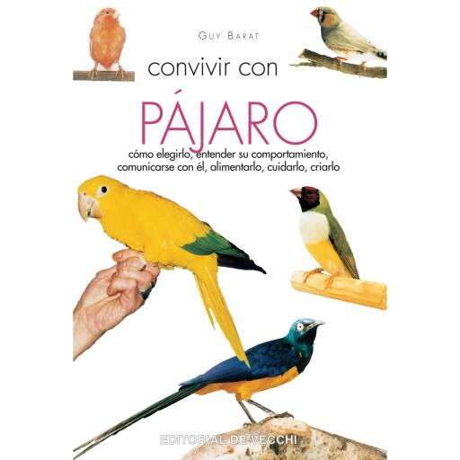 Convivir con su pájaro