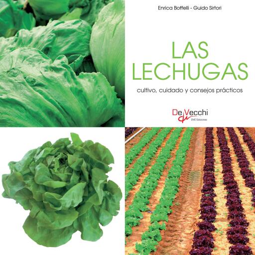Las lechugas - cultivo, cuidado y condejos prácticos