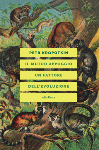 IL MUTUO APPOGGIO UN FATTORE DELL'EVOLUZIONE
