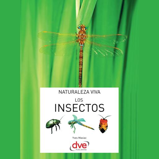 Los insectos