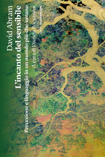 L'incanto del sensibile