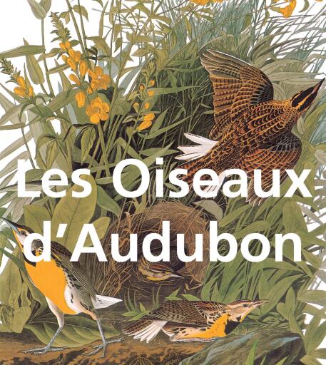 Les Oiseaux d'Audubon