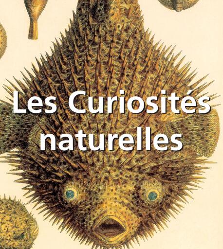 Les Curiosités naturelles