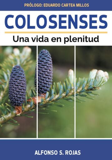 Colosenses, una vida en plenitud