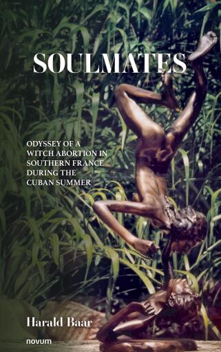 Portada del libro «Soulmates», de Harald Baar