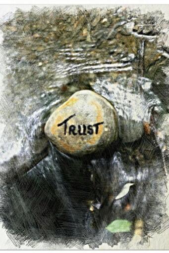 Portada del libro «Trust», de Arnika Bodenbach