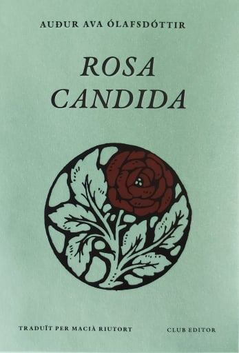 Rosa candida