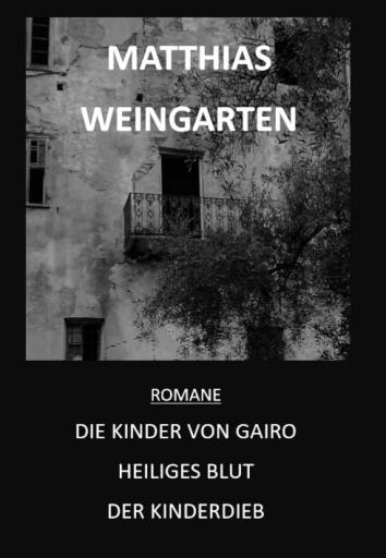 Romane: Die Kinder von Gairo - Heiliges Blut - Der Kinderdieb
