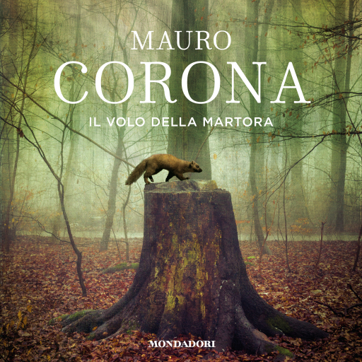 Il volo della martora