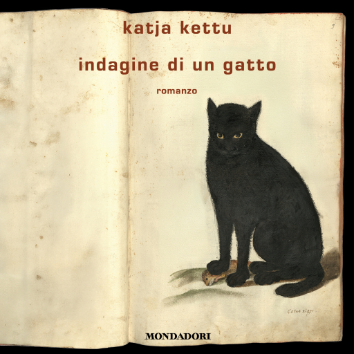 Indagine di un gatto