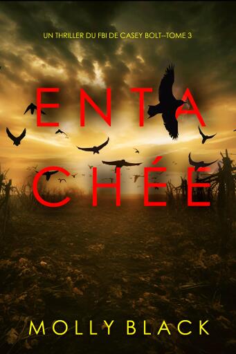 Portada del libro «Entachée (Un thriller du FBI de Casey Bolt — tome trois)»