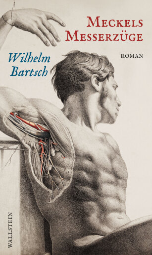 Meckels Messerzüge