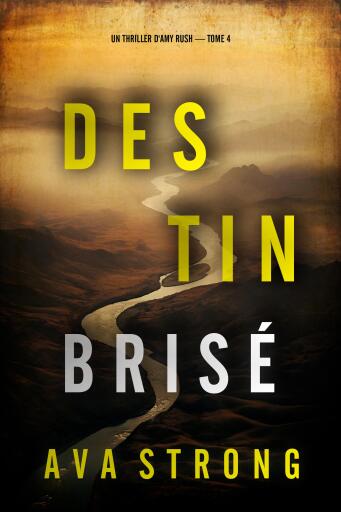 Destin brisé (Un thriller d'Amy Rush — tome 4)