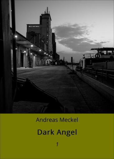 Portada del libro «Dark Angel», de Andreas Meckel