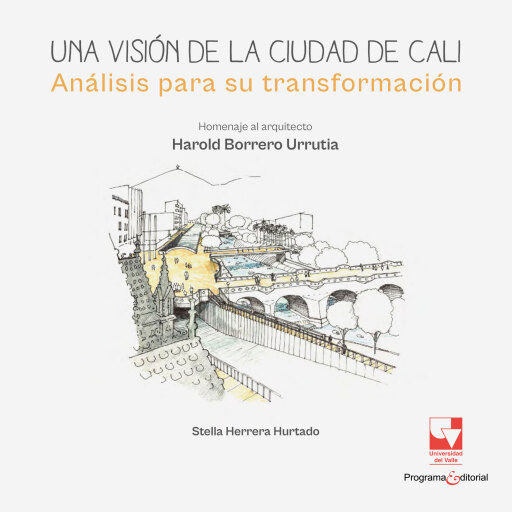 Una visión de la ciudad de Cali. Análisis para su transformación
