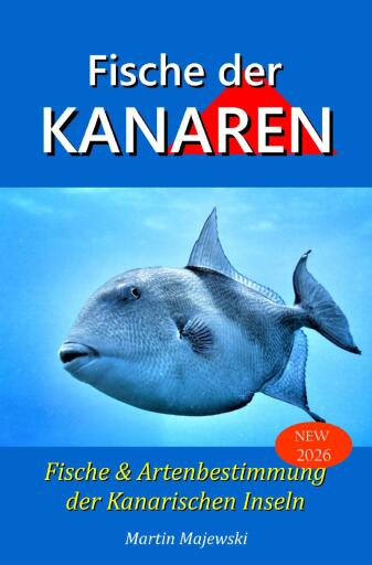 Fische der Kanarischen Inseln,  Fisch und Artenbestimmung der Kanaren