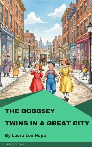 The Bobbsey Twins in a Great City