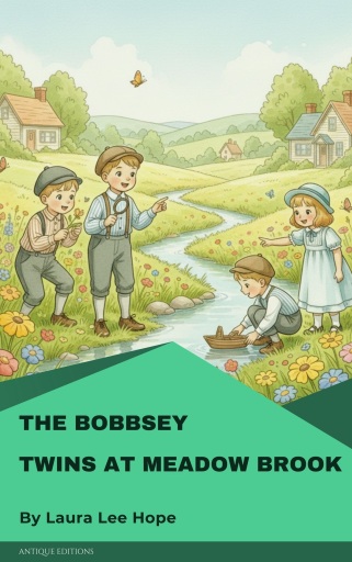 The Bobbsey Twins at Meadow Brook