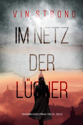 Im Netz der Lügner (Ein Brianna Dagger Spionage-Thriller – Buch 3)