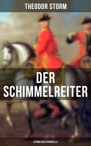Der Schimmelreiter (Storms Meisternovelle)