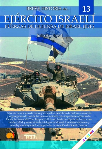Breve historia del ejército israelí: IDF - Fuerzas de Defensa de Israel